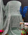 Ariana by Sajida Organza Embroidery Pakistani Salwar Kameez Suppliers In India